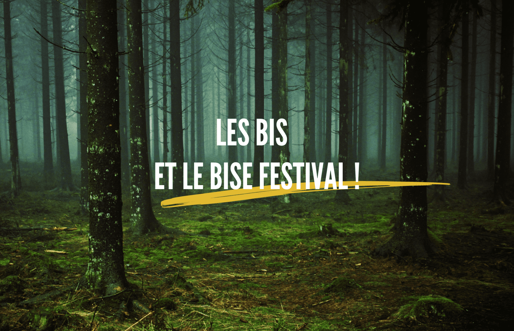 Appel à candidatures : Les BIS et le Bise Festival !